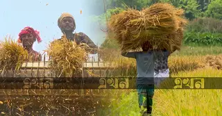 কৃষিতে সংকটের ছায়া, বাজেটে বাড়বে কি কৃষকের প্রাপ্তি?